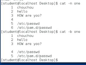 file 192.168 0.1,Understanding IP Addresses