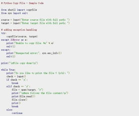 python recursively copy files except file,Understanding the Problem