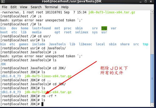 cannot execute binary file: exec format error,Understanding the Error