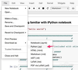 questions on files python,Questions on Files: A Comprehensive Guide