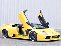 lamborghini file,Lamborghini File: A Comprehensive Overview