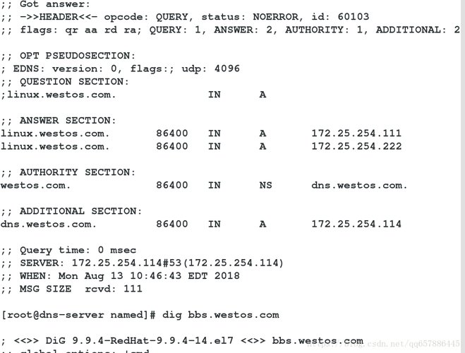 find a file in linux,Using the Find Command