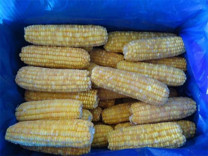 icture of corn filed,Picture of Corn Field: A Detailed Multidimensional Introduction