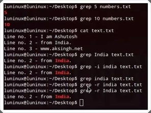 linux search file name,Using the ‘find’ Command