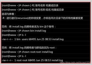 linux file permissions,Understanding Linux File Permissions: A Detailed Guide for You