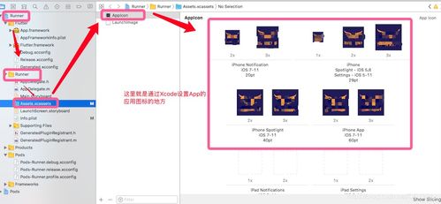 flutter app icon file type,Understanding Flutter App Icon File Type: A Detailed Guide for Developers