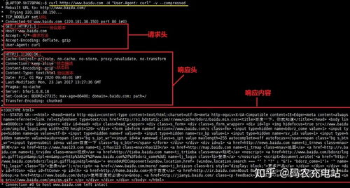 curl response audio file,Understanding curl