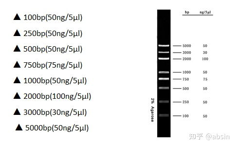 transpose a column to files in google sheets,Transpose a Column to Files in Google Sheets: A Detailed Guide for You