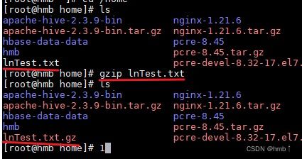 unzip gunzip file,Unzip and Gunzip: A Comprehensive Guide for Users