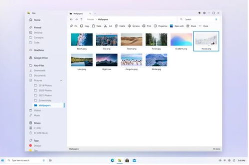 windows file explorer,Understanding the Interface