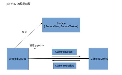 what is a metadata data structure type of file,What is a Metadata Data Structure Type of File?