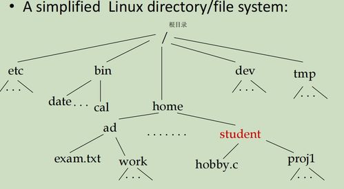 linux delete directory and files,Delete Directories and Files in Linux: A Comprehensive Guide