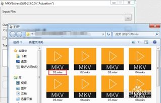 mkv files,MKV Files: A Comprehensive Guide