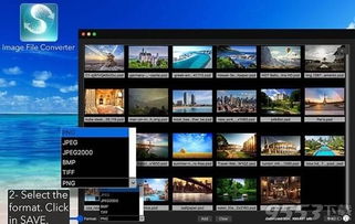 image file type converter,Image File Type Converter: A Comprehensive Guide for Image Enthusiasts