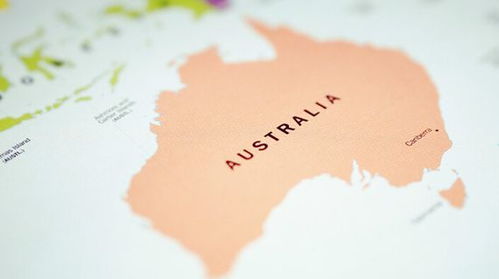 tax file number australia,Understanding Your Tax File Number in Australia